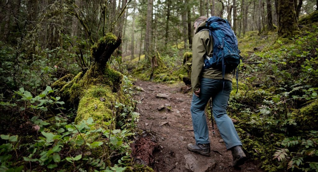 Hiking Spots Near Vancouver