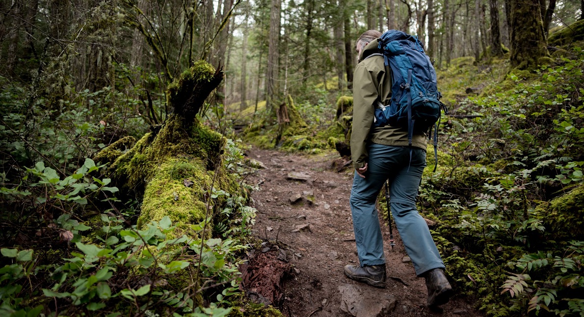 Hiking Spots Near Vancouver